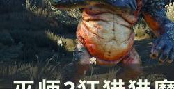 《巫师3狂猎》猎魔人钢剑泰葛怎么获得 猎魔人钢剑泰葛获取攻略
