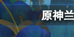 原神兰那罗的世界怎么做  兰那罗的世界任务内容分享