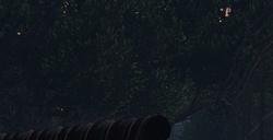 《GTAOL》不同赚钱方法具体收益介绍