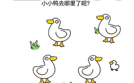 脑洞我最大第33关攻略  小小鸭去哪里了呢