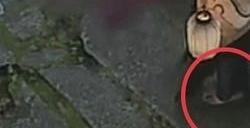 《黑神话》粉丝发现蜘蛛精都光着脚：更喜欢玩了