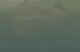 《地狱潜者2》游戏打机器人什么武器好用