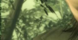 《Physint》概念疫情时成型 小岛秀夫圆梦《合金装备》粉