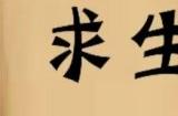 《乱世小兵求生记》感受历史的波澜壮阔与厚重