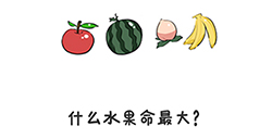 谐音梗挑战第23关攻略什么水果命最大