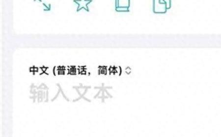 苹果手机将“赔钱货”译成“Girl”涉歧视女性争议
