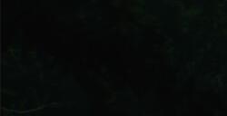 《黎明杀机》单人游戏《弗兰克·斯通的阴影》PC配置公布