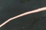 《怪物猎人：荒野》延长鬼人药时间方法介绍