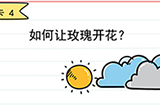 我答题贼6第4关攻略  如何让玫瑰开花