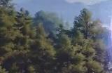 《无限暖暖》花环毛团在哪