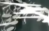 传闻：《丝之歌》《P4重制版》将现身Xbox夏季发布会