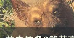 《龙之信条2》武艺高强的酒豪支线任务攻略 龙选者职业大师技能获取