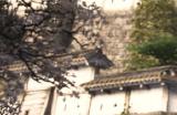 《刺客信条：影》评分19日凌晨1点解禁 你给几分？