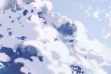一夜霜风，满路琼瑶《第五人格》二十四节气演绎录 【小雪】篇线下活动回顾