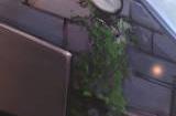 鸣潮配置要求介绍 鸣潮pc手机配置要求一览