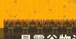 《星露谷物语》新手入门怎么玩 新手入门攻略