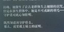 《艾尔登法环：黑夜君临》守护者追忆支线攻略分享