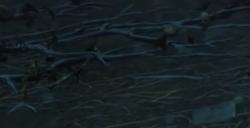 《艾尔登法环》盖利德墓地影子BOSS图鉴