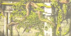 百英雄传崛起土匪披肩怎么获取