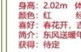 洛克王国吉禄豪炎极品性格介绍