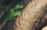 《最终幻想7：重生》战斗系统自由度高 角色可任意配对