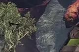 《异度之刃编年史X》WiiU最后玩家断线 服务彻底关闭