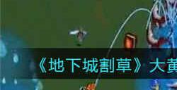 地下城割草大黄蜂找不到怎么办 大黄蜂找不到解决方法