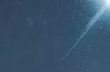星空游戏可以联机吗 星空游戏是单机吗