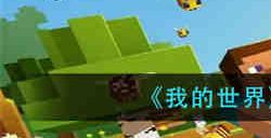 我的世界副手怎么使用 我的世界副手使用方法介绍