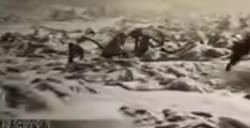 《艾尔登法环》dlc约定之王在哪