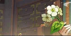 《原神》白术值得抽吗 白术强度分析