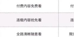 b站年度小会员介绍