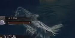 《艾尔登法环》dlc双月骑士蕾拉娜点位