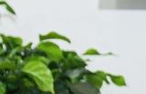 20多人的团队，一年创造一个亿的利润，他是如何做到的？
