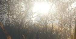 《猎人：荒野的呼唤》阿罗约动物有什么特点