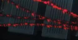 《暗喻幻想：ReFantazio》玛丽亚支持者解锁方法介绍