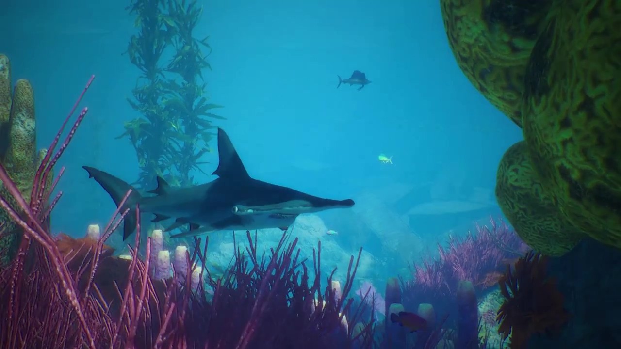 《食人鲨》新DLC预告公布