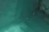 《最后纪元》侍祭幽影术士玩法攻略分享