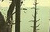 《辐射4》碉堡山战役攻略合集 位置/结局/触发/完成攻略等汇总