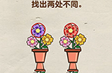 脑洞先生第56关攻略  找出两处不同