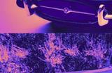 Bungie被裁员工：我们没钱吃饭了CEO还炫耀豪车收藏