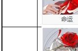 《宿命回响》阵营搭配建议攻略