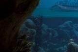 冒险《Thalassa: Edge of the Abyss》正式上线Steam