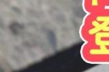 《死或生沙滩排球 维纳斯假期》新女神梅格上岛 与短发咖啡店店员一起偷懒吧