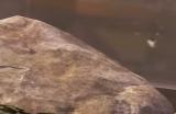 《Apex英雄》狙击枪武器有什么特点