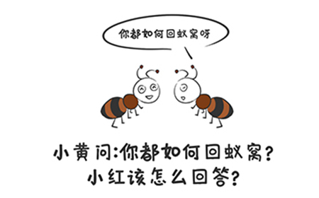 谐音梗挑战第33关攻略  你都如何回蚁窝