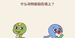别想考倒我第7关攻略  什么动物能贴在墙上