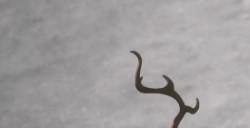 《黑神话：悟空》玄铁硬手要什么材料