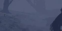 《艾尔登法环》禁域黑夜骑兵BOSS图鉴