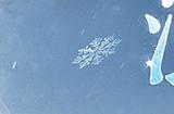 玄狼踏雪携霜至，全新冬日时装坐骑12月21日震撼登场！